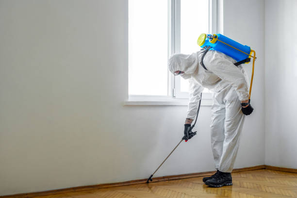 Best Affordable Pest Control Services  in Chaska, MN