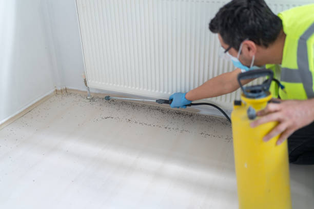 Best Rat Extermination Near Me  in Chaska, MN