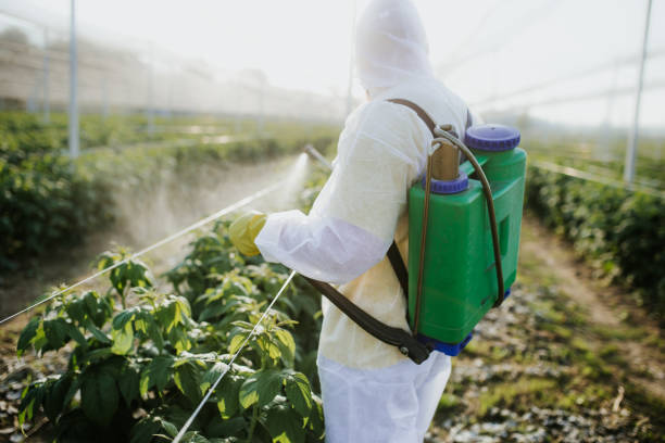 Best Pest Prevention Services  in Chaska, MN